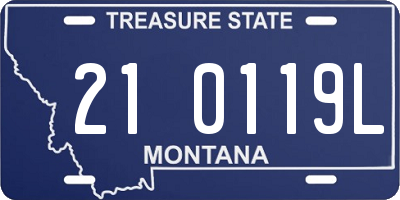 MT license plate 210119L