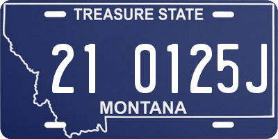MT license plate 210125J