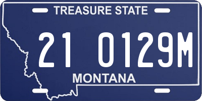 MT license plate 210129M
