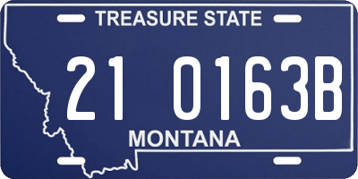 MT license plate 210163B