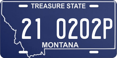 MT license plate 210202P