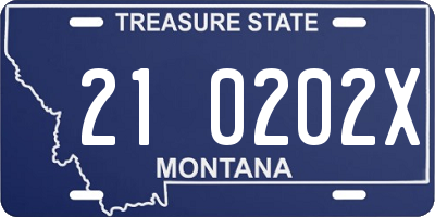 MT license plate 210202X