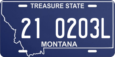 MT license plate 210203L