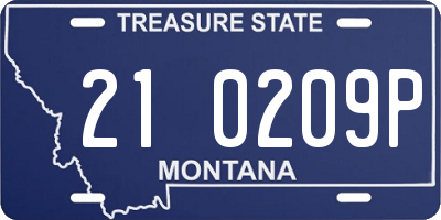 MT license plate 210209P
