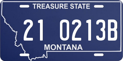 MT license plate 210213B