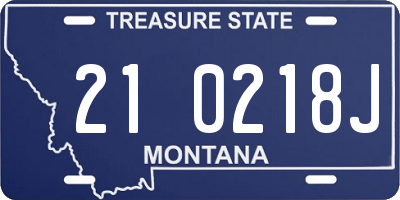 MT license plate 210218J