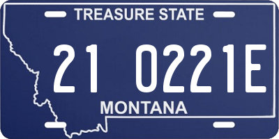 MT license plate 210221E