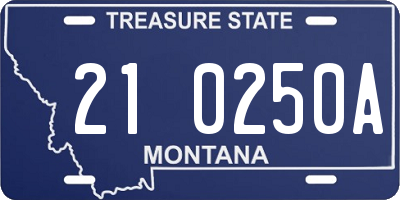 MT license plate 210250A