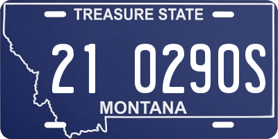 MT license plate 210290S