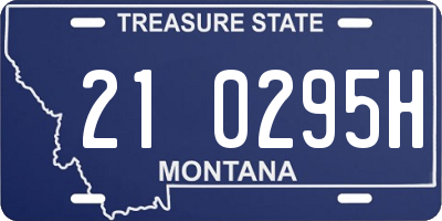 MT license plate 210295H