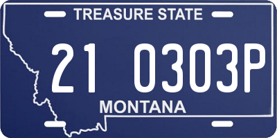 MT license plate 210303P