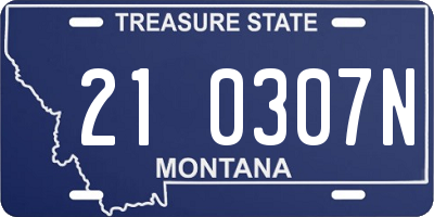 MT license plate 210307N