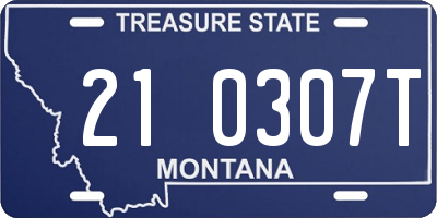 MT license plate 210307T