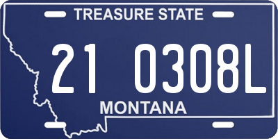 MT license plate 210308L
