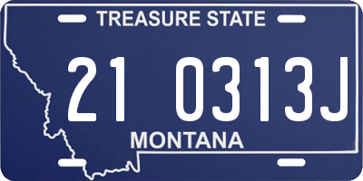 MT license plate 210313J