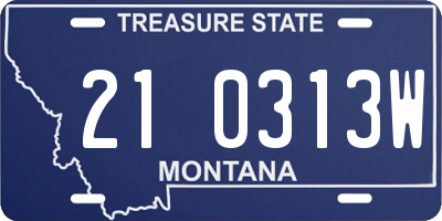 MT license plate 210313W