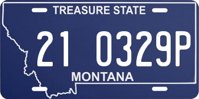 MT license plate 210329P