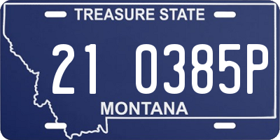MT license plate 210385P
