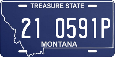 MT license plate 210591P