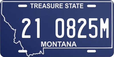 MT license plate 210825M