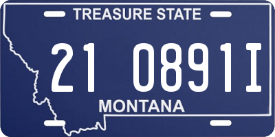 MT license plate 210891I