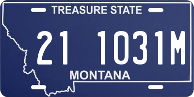 MT license plate 211031M
