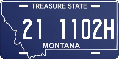 MT license plate 211102H