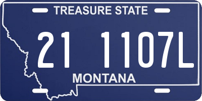 MT license plate 211107L