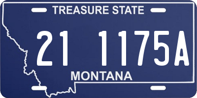 MT license plate 211175A