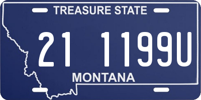 MT license plate 211199U