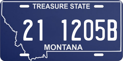 MT license plate 211205B