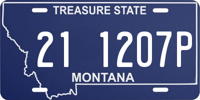 MT license plate 211207P
