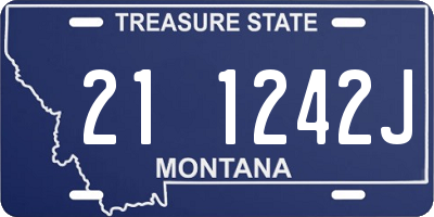 MT license plate 211242J