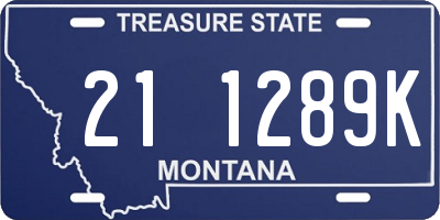 MT license plate 211289K