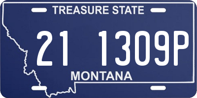 MT license plate 211309P