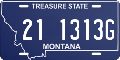 MT license plate 211313G