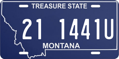MT license plate 211441U