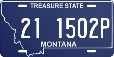 MT license plate 211502P