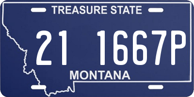 MT license plate 211667P