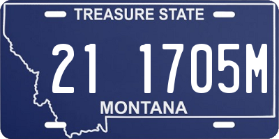 MT license plate 211705M