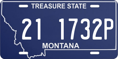 MT license plate 211732P