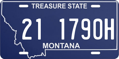 MT license plate 211790H
