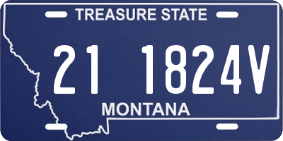 MT license plate 211824V