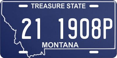 MT license plate 211908P