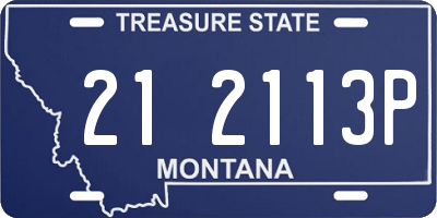 MT license plate 212113P