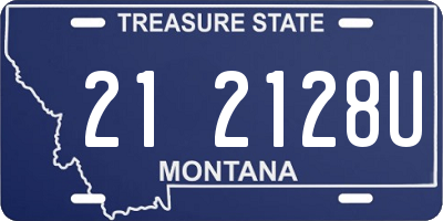 MT license plate 212128U