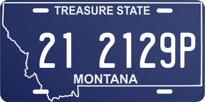 MT license plate 212129P