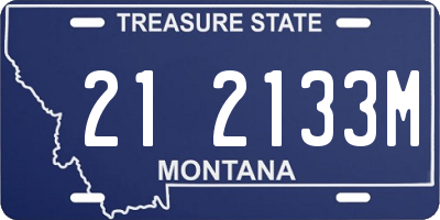 MT license plate 212133M
