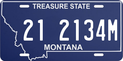 MT license plate 212134M
