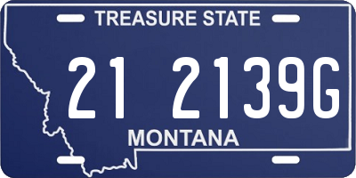 MT license plate 212139G